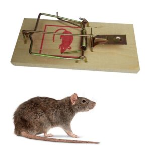 MOUSE TRAP CHASSE SOURIS